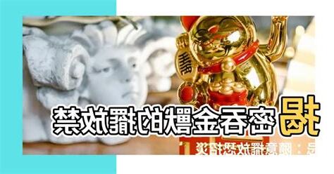吞金獸 禁忌